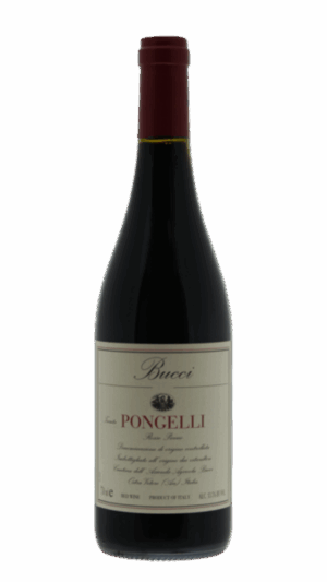 2016-Bucci Pongelli Piceno Rosso