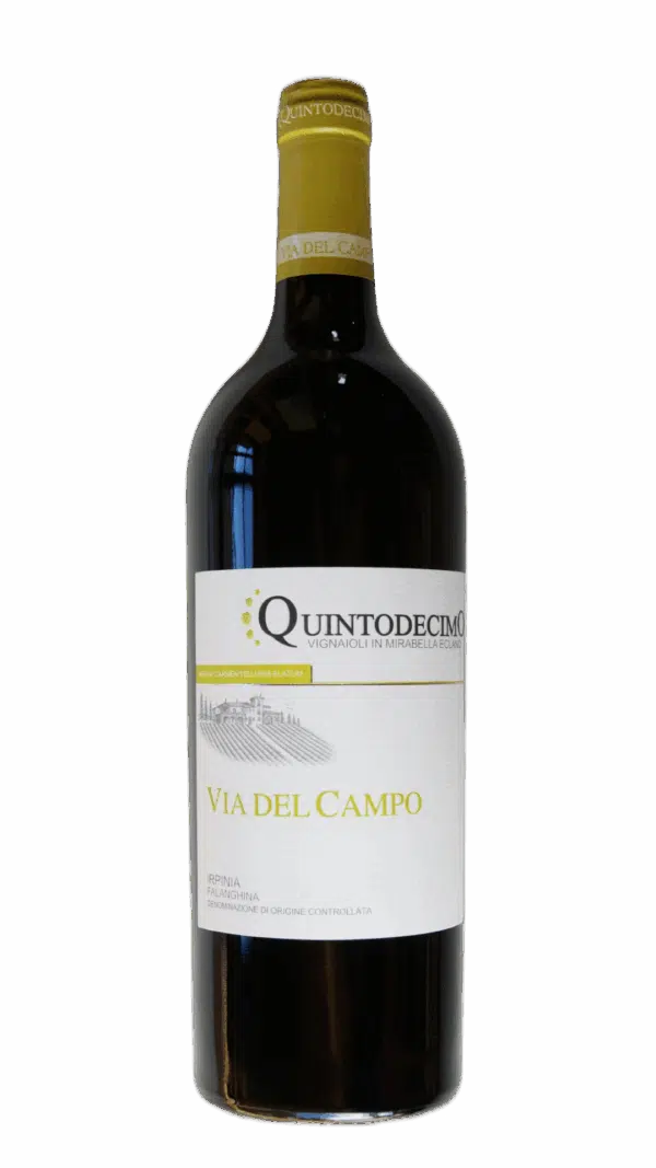 2018-Quintadecimo Via del Campo Irpinia Falanghina Campania Bianco