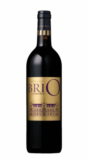 2019-Cantenac Brown Brio de Cantenac-Brown Margaux Rouge