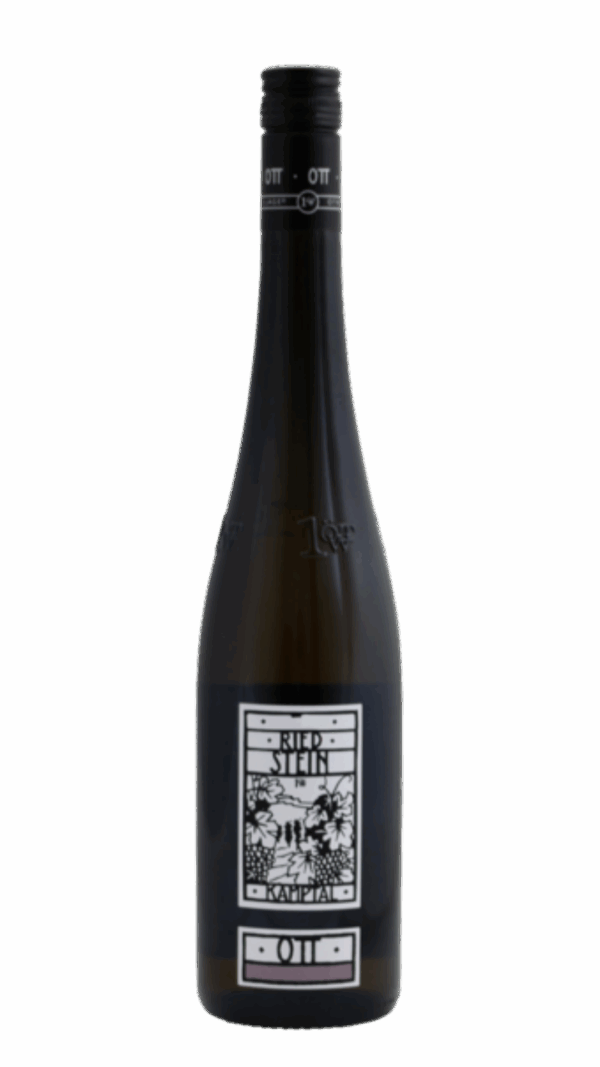 2021-Bernhard Ott Gruner Veltliner Ried Stein 1OTW Weiss