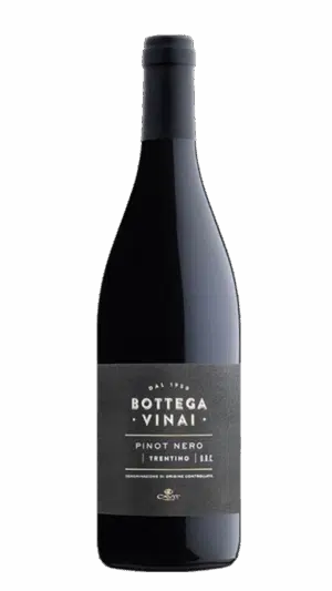2022-Trentino Bottega Vinai Pinot Nero Rosso