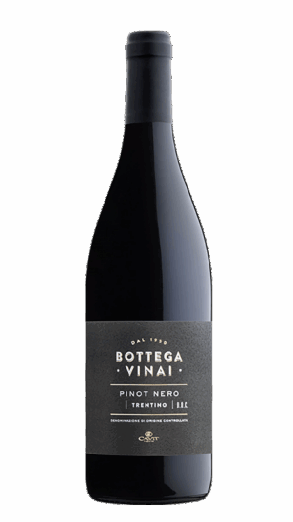 2022-Trentino Bottega Vinai Pinot Nero Rosso