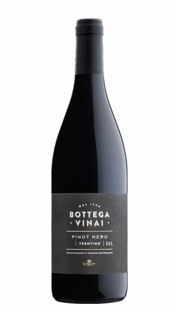 2022-Trentino Bottega Vinai Pinot Nero Rosso