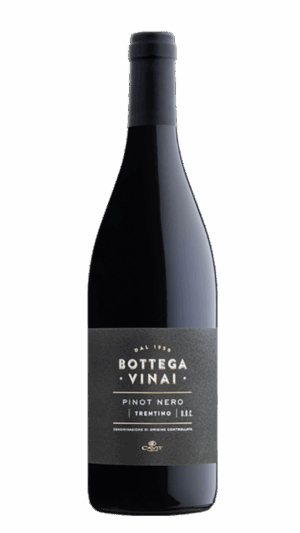 2022-Trentino Bottega Vinai Pinot Nero Rosso