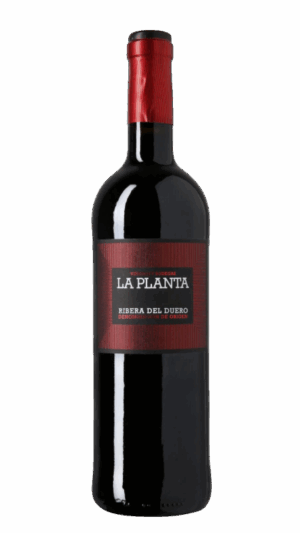 2023-Arzuaga Ribera del Duero La Planta Tinto