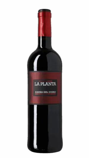 2023-Arzuaga Ribera del Duero La Planta Tinto