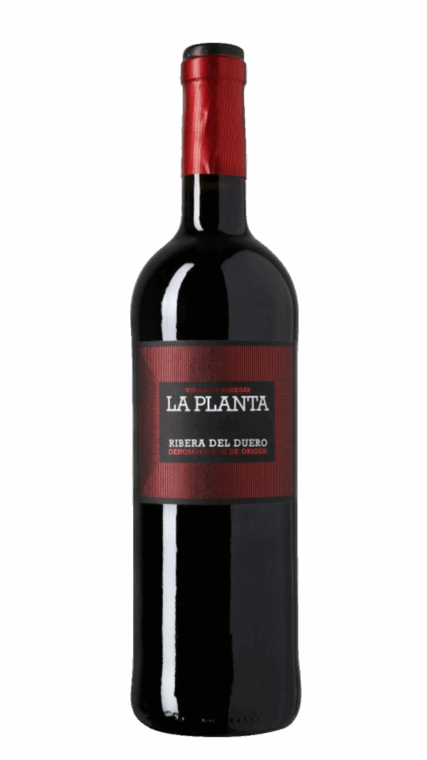 2023-Arzuaga Ribera del Duero La Planta Tinto