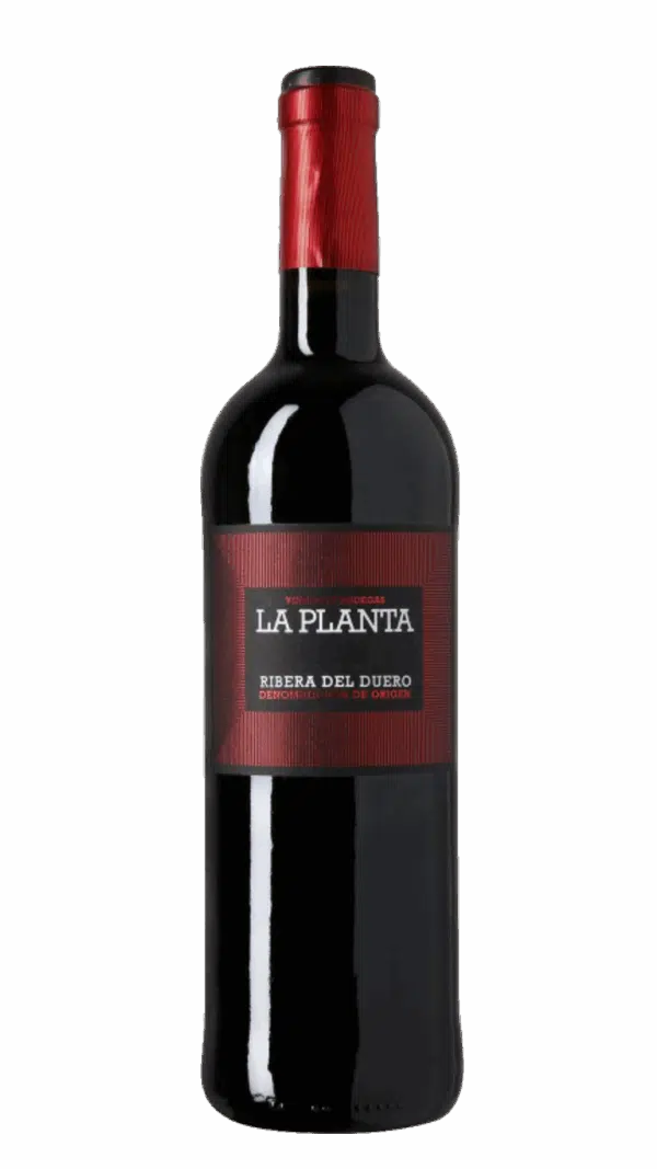 2023-Arzuaga Ribera del Duero La Planta Tinto