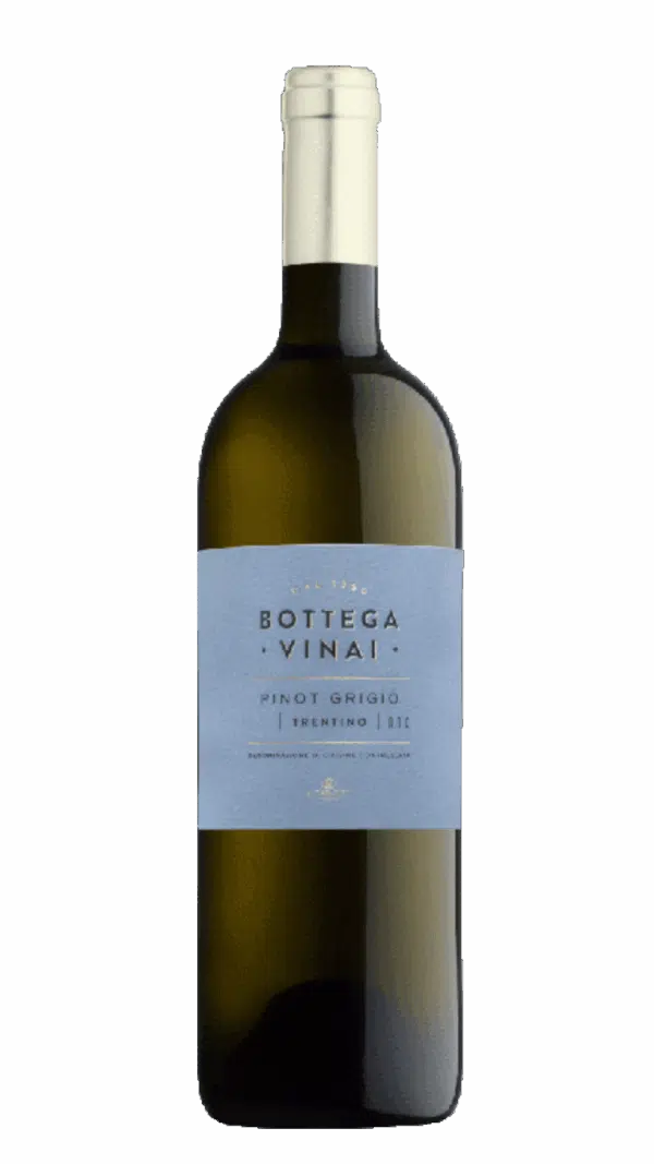 2023-Trentino Bottega Vinai Pinot Grigio Bianco