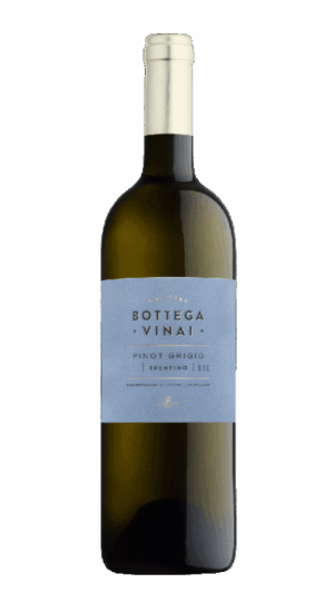 2023-Trentino Bottega Vinai Pinot Grigio Bianco
