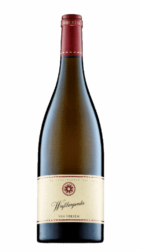 2023-Van Volxem Weissburgunder Weiss