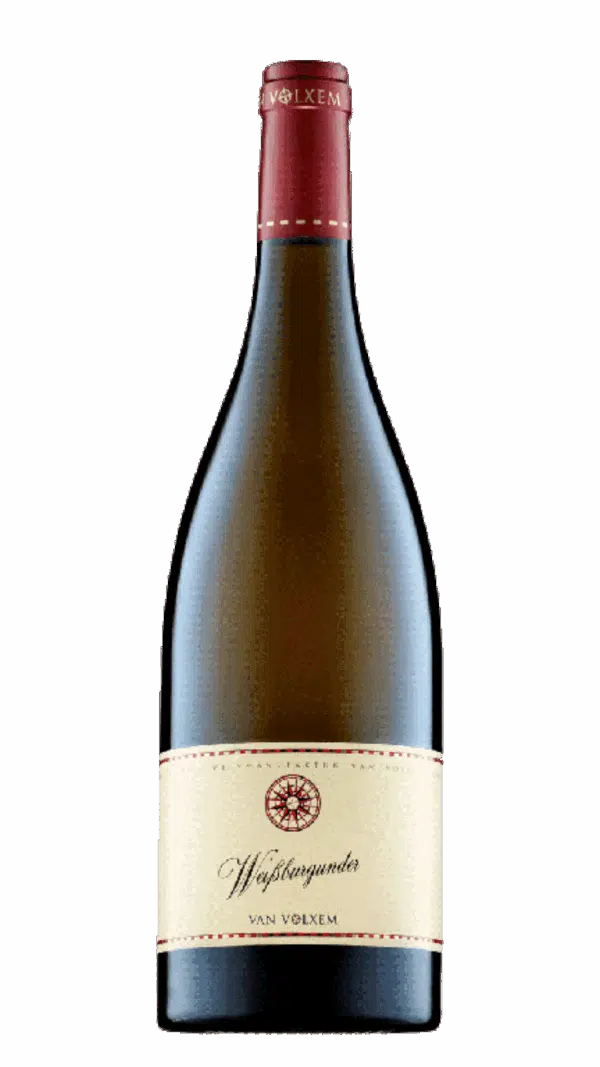 2023-Van Volxem Weissburgunder Weiss