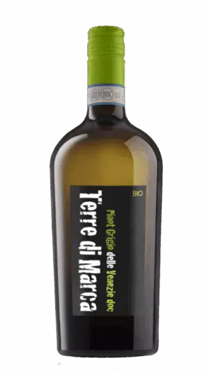 2024-Corvezzo Pinot Grigio delle Venezie Bianco
