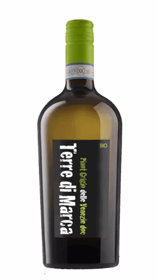 2024-Corvezzo Pinot Grigio delle Venezie Bianco