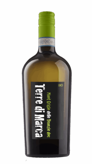 2024-Corvezzo Pinot Grigio delle Venezie Bianco