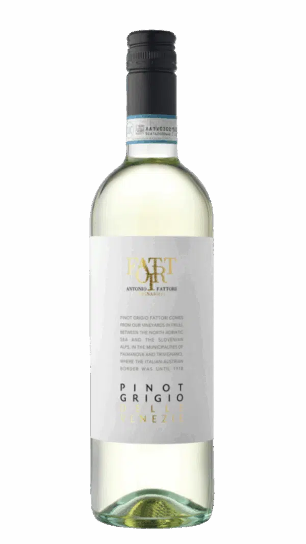 2024-Fattori Pinot Grigio delle Venezie Bianco