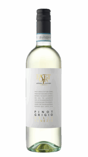 2024-Fattori Pinot Grigio delle Venezie Bianco