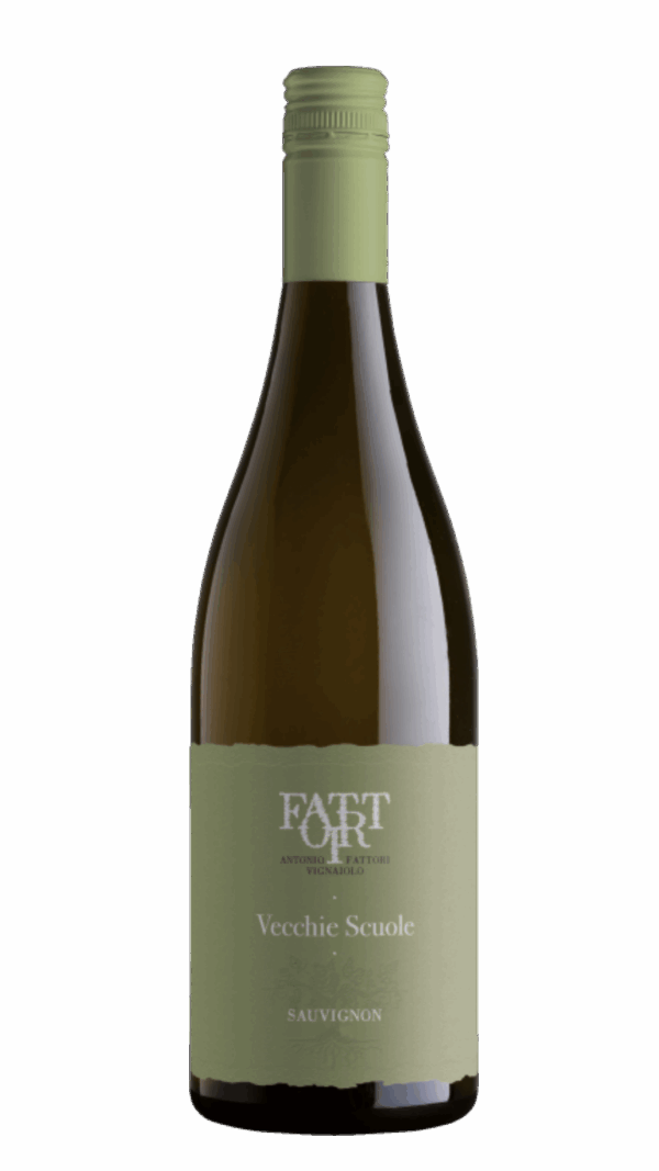 2024-Fattori Sauvignon Blanc Vecchie Scuole Trevenezie Bianco
