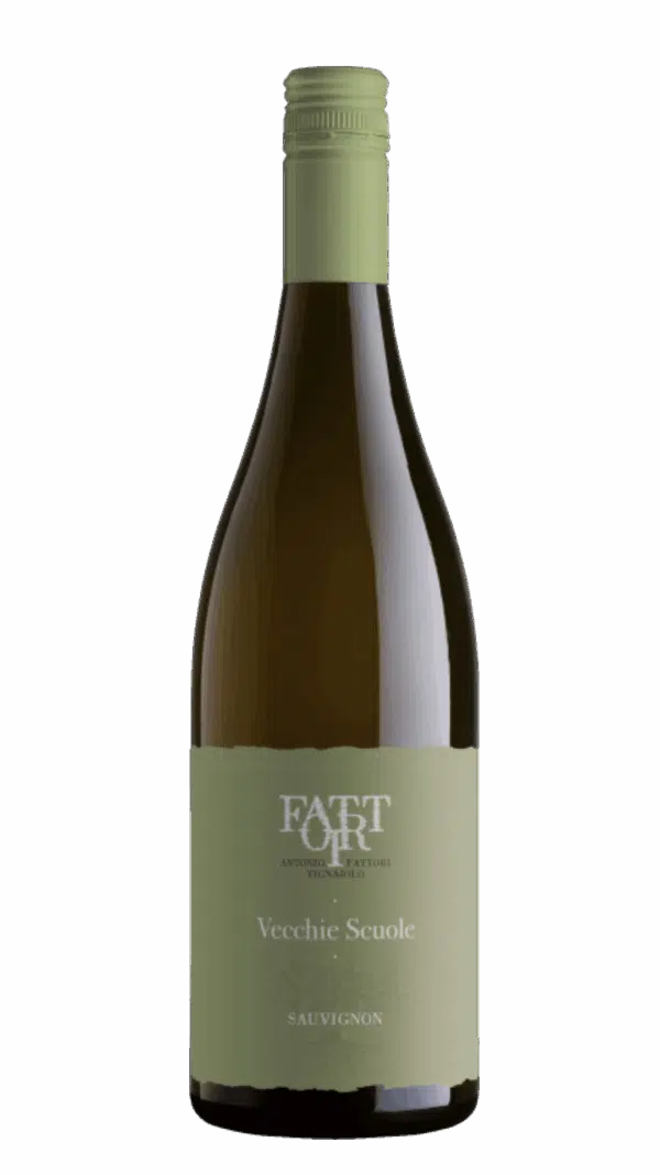 2024-Fattori Sauvignon Blanc Vecchie Scuole Trevenezie Bianco