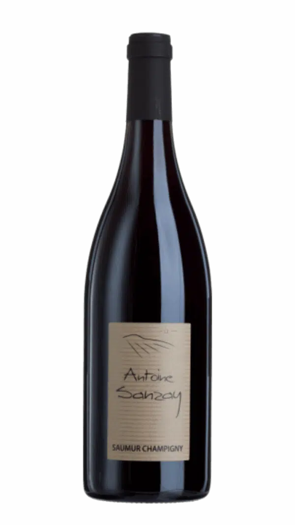 2013-Antoine Sanzay Saumur Champigny Rouge