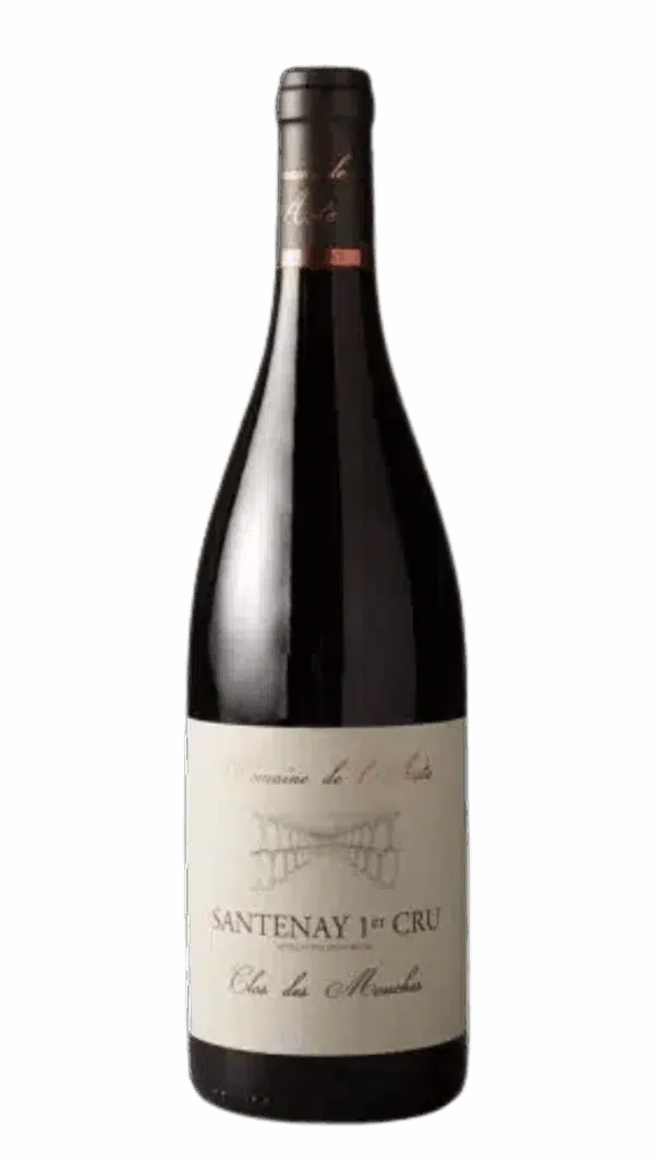 2019-De L'Aste Santenay 1er cru Clos des Mouches Rouge