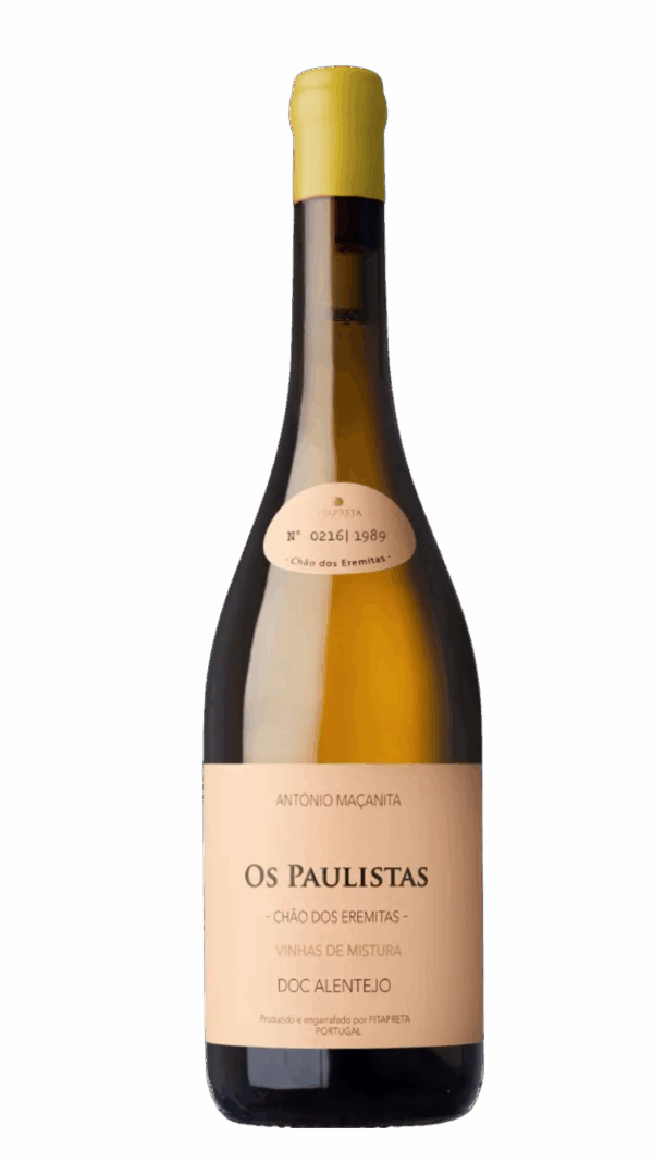 2022-Antonio Macanita Os Paulistas Alentejo Branco