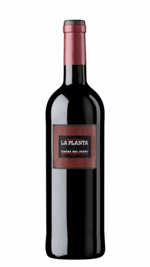 2022-Arzuaga Ribera del Duero La Planta Tinto MAGNUM