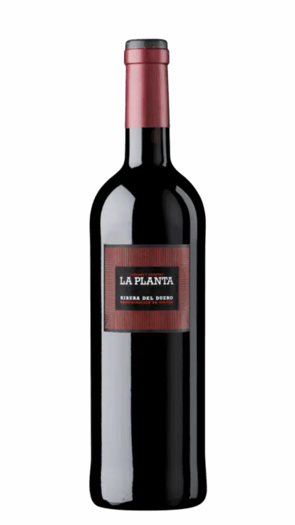 2022-Arzuaga Ribera del Duero La Planta Tinto MAGNUM