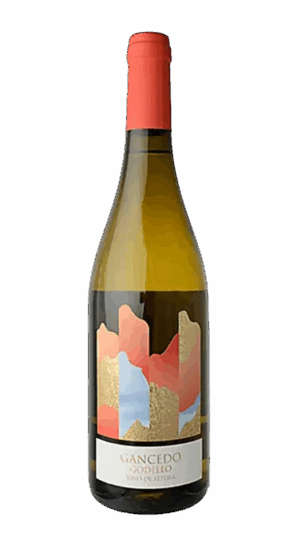 2022-Gancedo Godello Bierzo Blanco