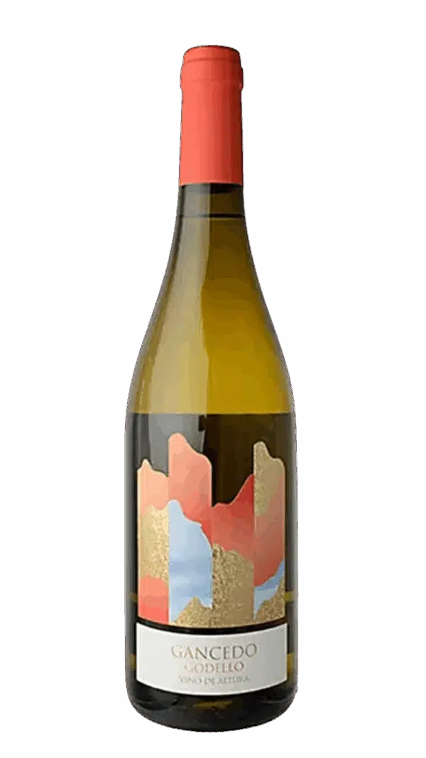 2022-Gancedo Godello Bierzo Blanco