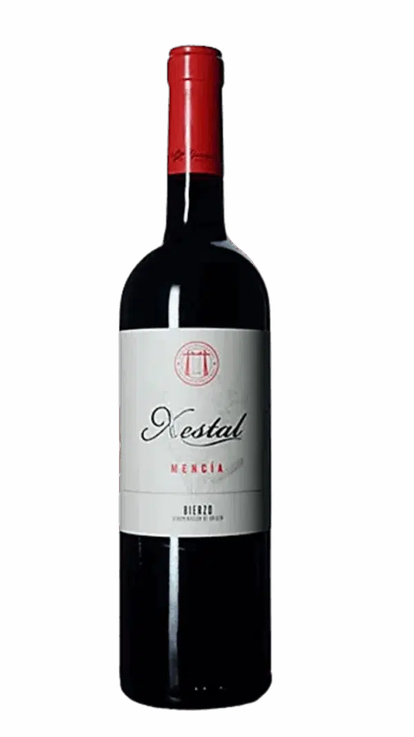 2022-Gancedo Xestal Mencia Bierzo Tinto