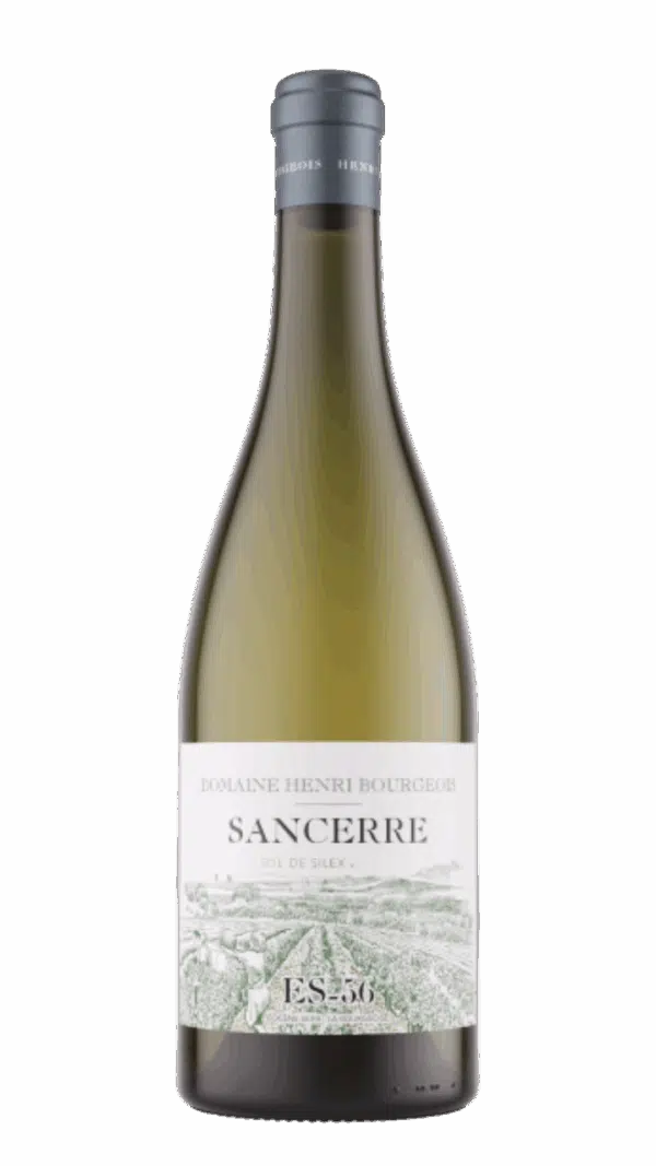 2022-Henri Bourgeois Sancerre Sol de Silex ES-56 Blanc