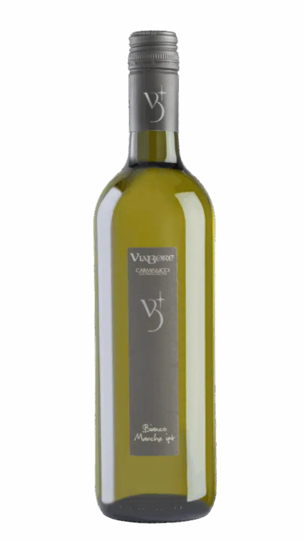 2023-Carminucci Marche Viabore Bianco
