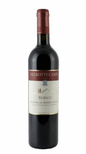 2023-Marotti Campi Lacrima di Morro d'Alba Rubico Rosso