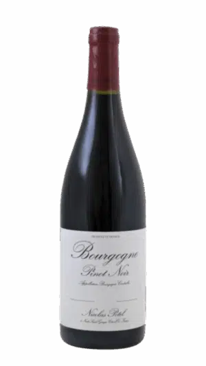 2023-Nicolas Potel Bourgogne Pinot Noir Rouge *