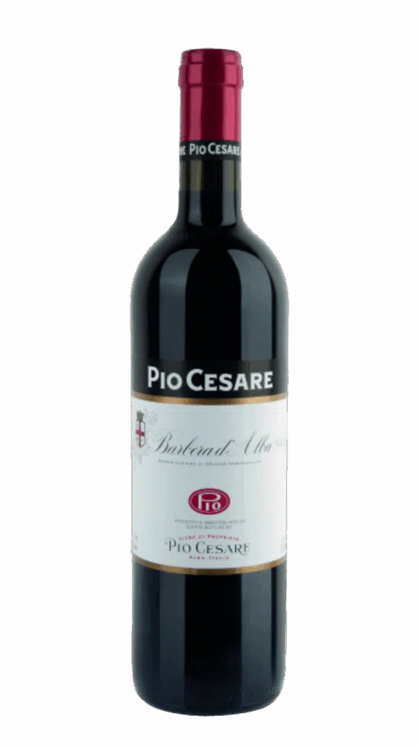 2023-Pio Cesare Barbera d'Alba Rosso