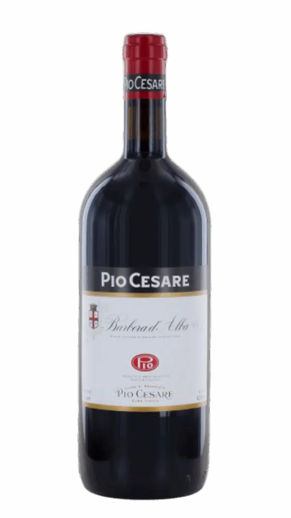 2023-Pio Cesare Barbera d'Alba Rosso MAGNUM