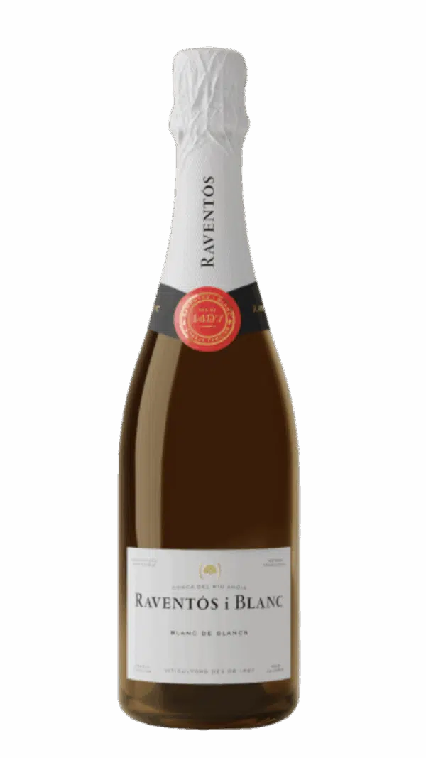 2023-Raventos i Blanc Conca del Riu Anoia Blanc de Blancs Blanco