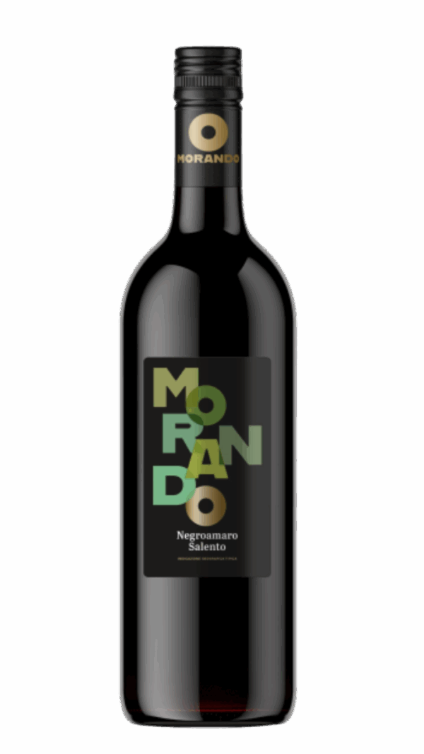 2024-Campagnola Morando Negroamaro Salento Rosso *