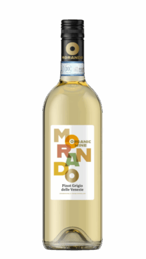 2024-Campagnola Morando Pinot Grigio Bianco *