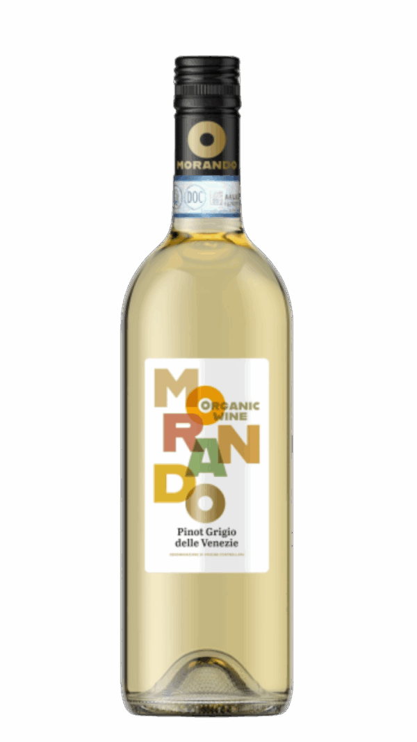 2024-Campagnola Morando Pinot Grigio Bianco *