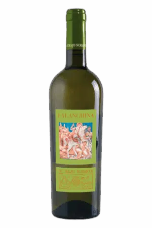 2024-Di Majo Norante Falanghina Terre degli Osci Bianco