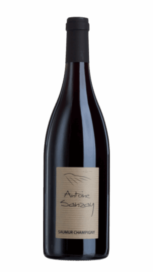 2013-Antoine Sanzay Saumur Champigny Rouge