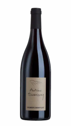 2013-Antoine Sanzay Saumur Champigny Rouge