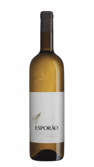2019-Conceito Contraste Douro Branco