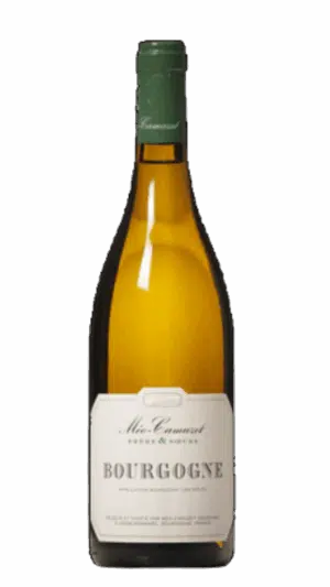 2019-Meo Camuzet Ladoix Bourgogne Blanc