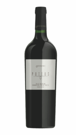 2019-Mocavero Puteus Salice Salentino Riserva Rosso