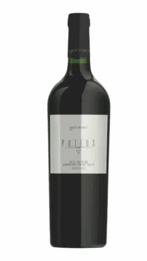 2019-Mocavero Puteus Salice Salentino Riserva Rosso