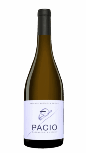 2019-Pradio Ribeira Sacra Pacio Vino Tinto