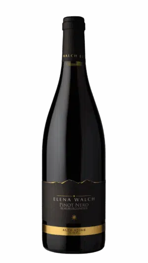 2020-Elena Walch Ludwig Pinot Noir Alto Adige Rosso